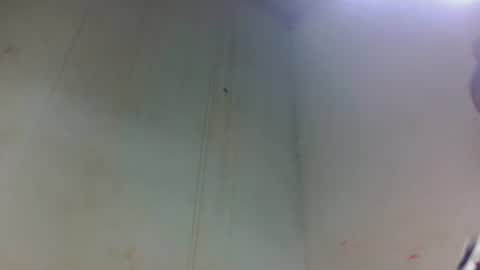 tsaralaza online show from November 2025 02:45:02 AM