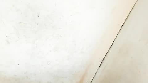 Snapshot of tsmanika chatting on January 2025 06:35:01 AM MA NI KA online show from January 2025 06:35:01 AM