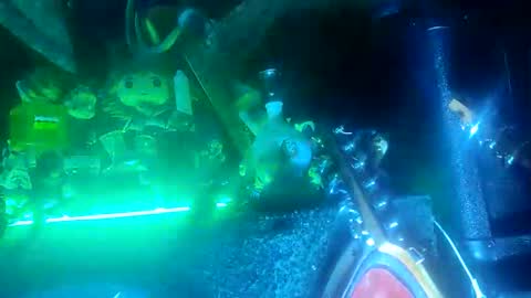 twe4kseeker online show from October 2025 04:13:01 AM