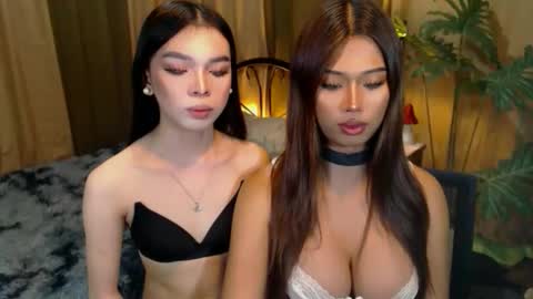 Snapshot of twinktransshanel chatting on October 2025 05:27:02 AM twinktransshanel online show from October 2025 05:27:02 AM