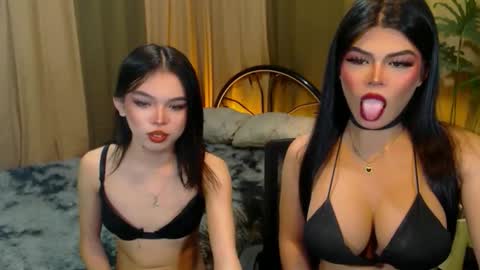 Snapshot of twinktransshanel chatting on October 2025 09:43:02 AM twinktransshanel online show from October 2025 09:43:02 AM