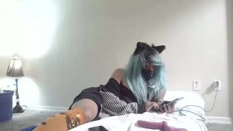 twinkyteddy online show from October 2025 12:19:01 AM
