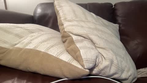 ty223222 online show from March 2025 07:36:01 AM