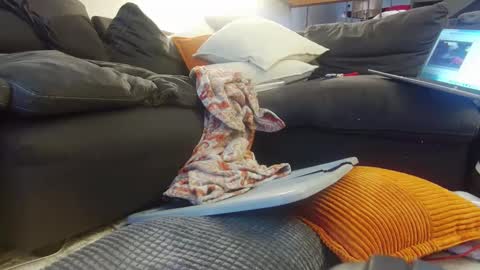 tysonjameson online show from December 2024 02:27:01 PM