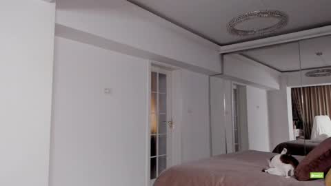 Snapshot of unforgettable_s chatting on December 2024 05:42:01 PM Silvia online show from December 2024 05:42:01 PM