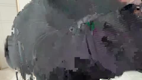 Stepbro online show from February 2025 10:29:02 AM