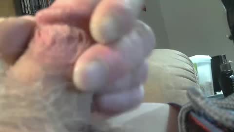 Snapshot of usmcmark63 chatting on February 2025 08:31:01 PM lookin for free fun online show from February 2025 08:31:01 PM