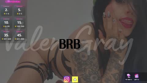 Snapshot of valengray chatting on January 2025 07:49:02 AM Valen online show from January 2025 07:49:02 AM