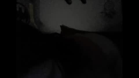 Valeria online show from February 2025 06:55:01 AM