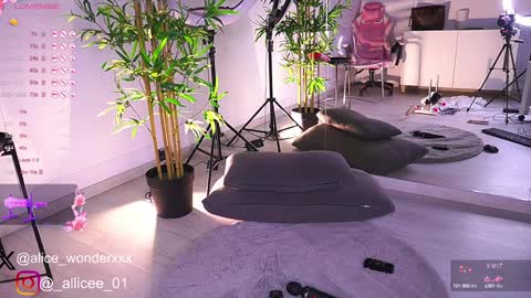 Vanessa Simon online show from February 2025 12:17:02 PM