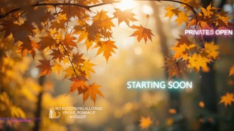 Snapshot of vegas_romance chatting on October 2025 02:06:01 AM vegas_romance online show from October 2025 02:06:01 AM