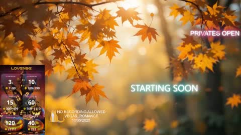 Snapshot of vegas_romance chatting on October 2025 12:19:01 AM vegas_romance online show from October 2025 12:19:01 AM