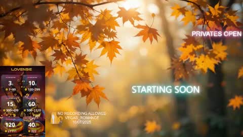 Snapshot of vegas_romance chatting on October 2025 01:36:02 AM vegas_romance online show from October 2025 01:36:02 AM