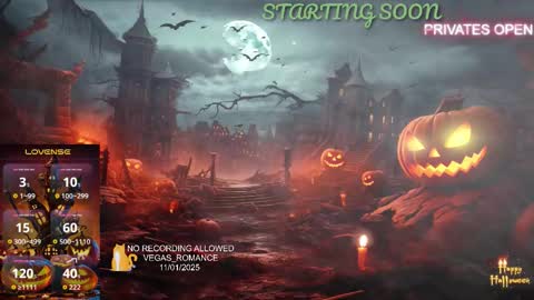 Snapshot of vegas_romance chatting on November 2025 12:13:01 AM vegas_romance online show from November 2025 12:13:01 AM