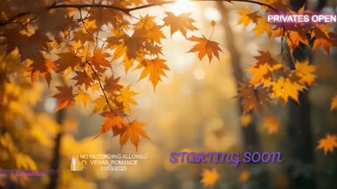 Snapshot of vegas_romance chatting on November 2025 11:59:01 PM vegas_romance online show from November 2025 11:59:01 PM