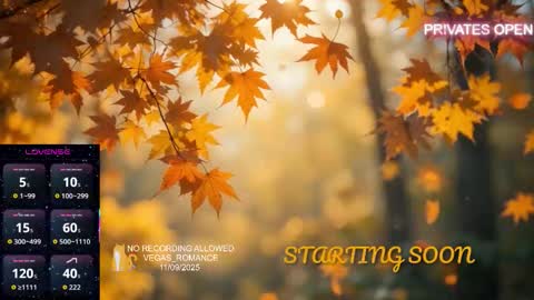 Snapshot of vegas_romance chatting on November 2025 11:25:02 PM vegas_romance online show from November 2025 11:25:02 PM