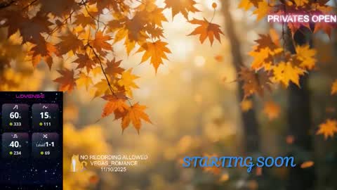 Snapshot of vegas_romance chatting on November 2025 12:43:02 AM vegas_romance online show from November 2025 12:43:02 AM