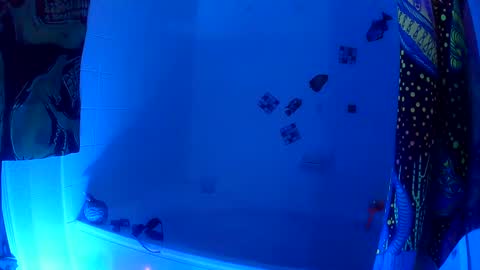 vegasmd online show from January 2025 01:53:02 PM