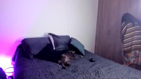 velmoon online show from October 2025 06:29:02 PM