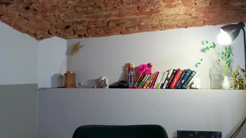 Snapshot of venera_style chatting on November 2025 07:16:01 AM VENERA online show from November 2025 07:16:01 AM