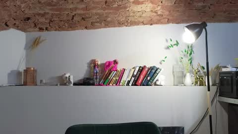 Snapshot of venera_style chatting on November 2025 07:18:02 AM VENERA online show from November 2025 07:18:02 AM