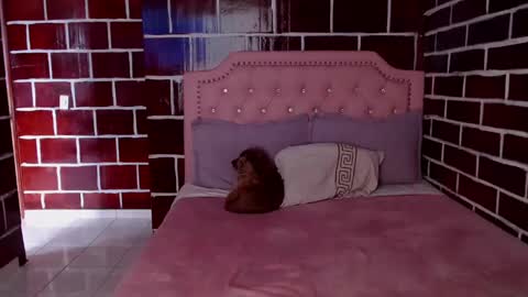 Snapshot of venus_megan chatting on March 2025 10:34:02 PM emily independent account MY conextion 1100 GTM to 17hr GTM online show from March 2025 10:34:02 PM