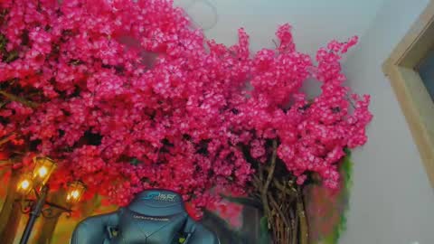 Venus Blazer  online show from October 2025 11:01:01 AM