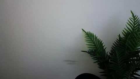 Ana online show from September 2025 12:10:02 PM