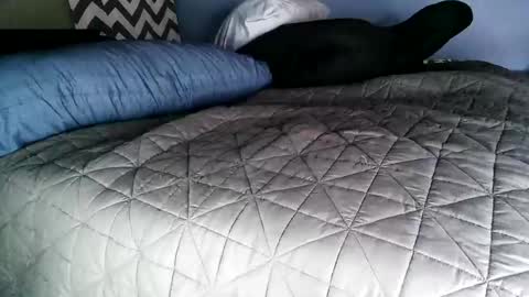 Snapshot of vexnew chatting on November 2025 08:00:01 PM Vexnew online show from November 2025 08:00:01 PM