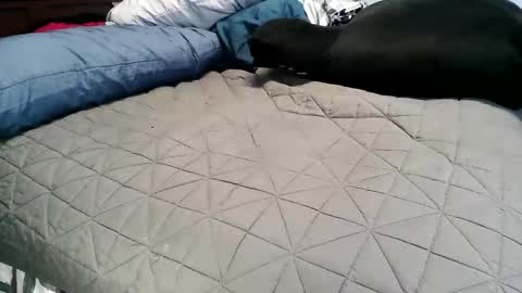 Snapshot of vexnew chatting on November 2025 06:51:01 PM Vexnew online show from November 2025 06:51:01 PM