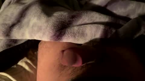 Snapshot of vibes456 chatting on January 2025 06:31:02 AM vibes456 online show from January 2025 06:31:02 AM