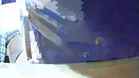 VictorHume online show from October 2025 04:29:02 PM