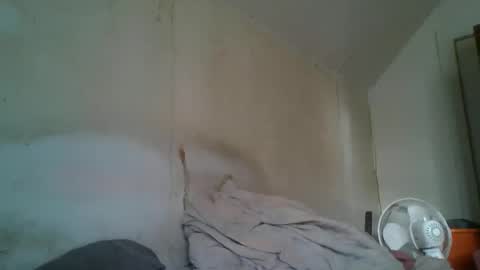 vids1977 online show from December 2024 04:51:01 PM