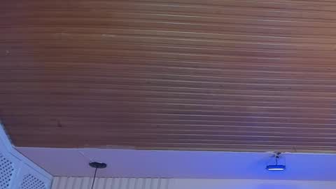 Snapshot of viiolett_lee chatting on October 2025 08:26:01 PM Viiolett online show from October 2025 08:26:01 PM