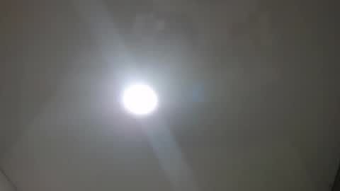 viixenscarle online show from October 2025 07:11:02 PM