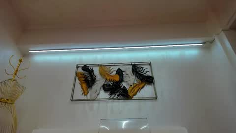 vikafever online show from November 2025 04:11:02 AM