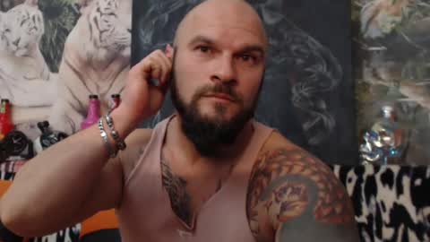 viking online show from December 2024 08:09:01 PM