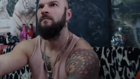 viking online show from December 2024 07:16:02 AM
