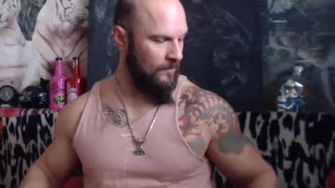 viking online show from December 2024 08:41:01 AM