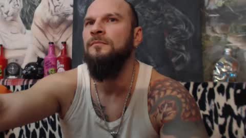 viking online show from December 2024 08:49:01 PM
