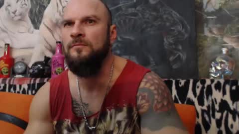 viking online show from January 2025 08:04:02 PM