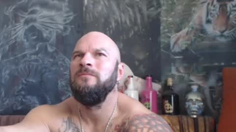 Snapshot of viking_me chatting on October 2025 07:49:02 AM viking online show from October 2025 07:49:02 AM