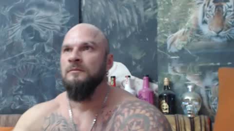 Snapshot of viking_me chatting on November 2025 08:08:01 PM viking online show from November 2025 08:08:01 PM