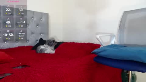 Snapshot of vinzent_lafed_ chatting on October 2025 07:39:02 AM vinzent_lafed_ online show from October 2025 07:39:02 AM