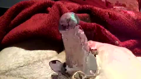 Snapshot of virtual_hand_player chatting on January 2025 06:36:02 PM virtual_hand_player online show from January 2025 06:36:02 PM