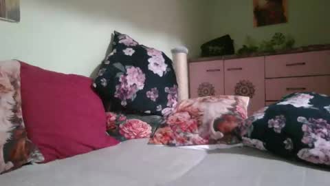 Snapshot of viva919 chatting on December 2024 04:38:01 PM Viva online show from December 2024 04:38:01 PM