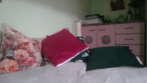 Snapshot of viva919 chatting on January 2025 09:47:02 PM Viva online show from January 2025 09:47:02 PM