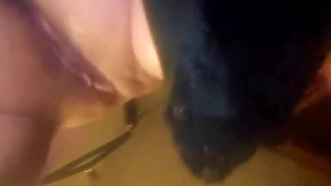 vtfkmburjswe online show from January 2025 12:22:02 AM