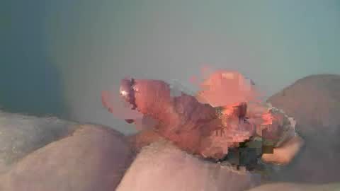 Snapshot of vukavuka99 chatting on October 2025 09:53:02 PM vukavuka99 online show from October 2025 09:53:02 PM