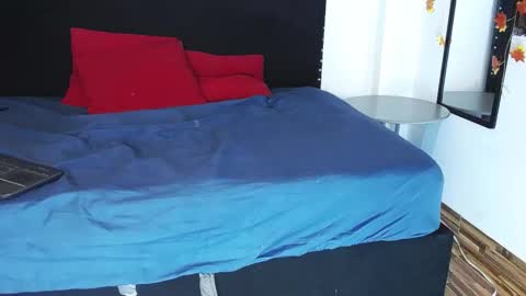 Snapshot of vwildcatper chatting on October 2025 08:00:02 PM wild cat  online show from October 2025 08:00:02 PM